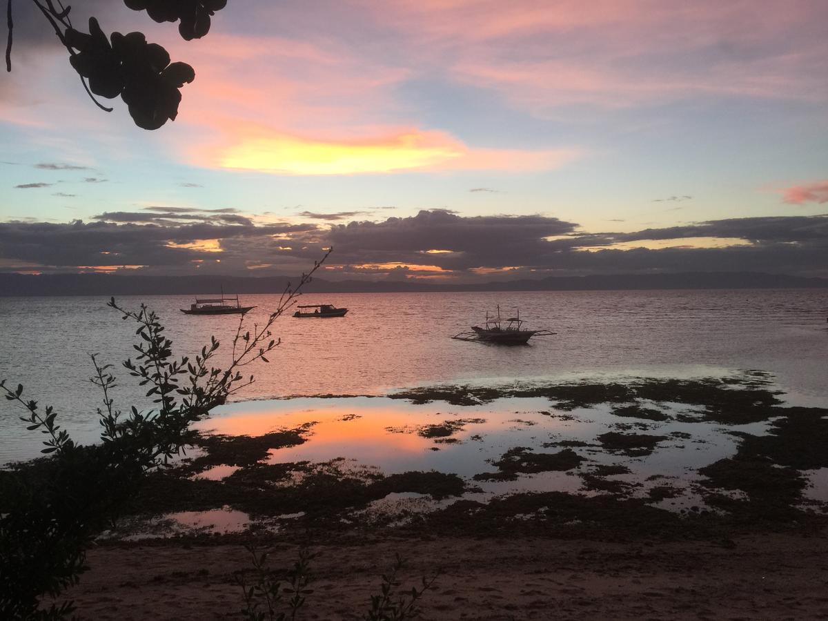 La Estrella Beach Resort & Cabilao Dive Center Loon Екстериор снимка